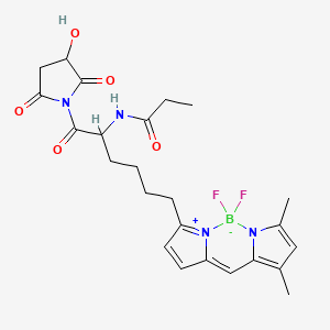 molecular formula C24H29BF2N4O5 B14794600 BODIPY fluorophore 