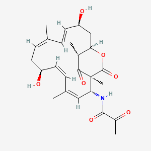 molecular formula C25H33NO7 B14795036 N-[(1S,2R,3Z,5Z,7S,9Z,11Z,13S,15R,19R)-7,13-dihydroxy-1,4,10,19-tetramethyl-17,18-dioxo-16-oxabicyclo[13.2.2]nonadeca-3,5,9,11-tetraen-2-yl]-2-oxopropanamide 