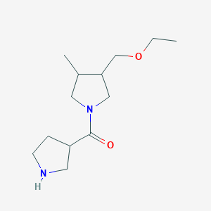 molecular formula C13H24N2O2 B1479998 (3-(Ethoxymethyl)-4-methylpyrrolidin-1-yl)(pyrrolidin-3-yl)methanone CAS No. 2097999-60-3