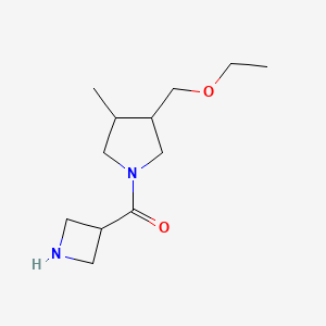 molecular formula C12H22N2O2 B1480033 Azetidin-3-yl(3-(ethoxymethyl)-4-methylpyrrolidin-1-yl)methanone CAS No. 2098126-35-1