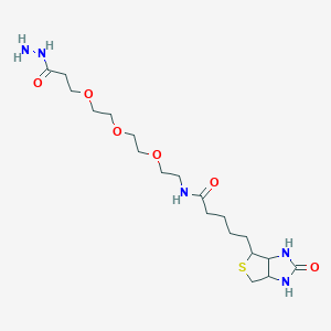 molecular formula C19H35N5O6S B14800625 Biotin-PEG3-HZ 