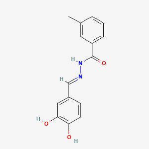molecular formula C15H14N2O3 B14801604 N'-[(E)-(3,4-dihydroxyphenyl)methylidene]-3-methylbenzohydrazide 
