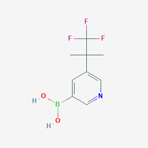 molecular formula C9H11BF3NO2 B14801948 5-(1,1,1-Trifluoro-2-methylpropan-2-yl)pyridin-3-ylboronic acid 