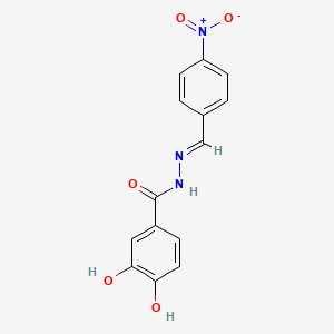 molecular formula C14H11N3O5 B14802812 3,4-dihydroxy-N'-[(E)-(4-nitrophenyl)methylidene]benzohydrazide 