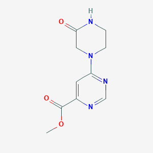 molecular formula C10H12N4O3 B1480360 Methyl 6-(3-oxopiperazin-1-yl)pyrimidine-4-carboxylate CAS No. 2098058-05-8
