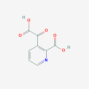 molecular formula C8H5NO5 B14804649 3-(Carboxycarbonyl)picolinic acid 