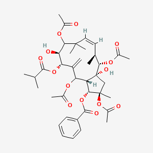 molecular formula C39H52O14 B14806350 Jatrophane 4 
