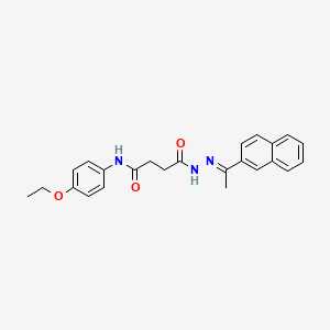 molecular formula C24H25N3O3 B14807722 N-(4-ethoxyphenyl)-4-{(2E)-2-[1-(naphthalen-2-yl)ethylidene]hydrazinyl}-4-oxobutanamide 
