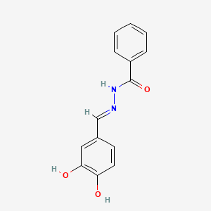 molecular formula C14H12N2O3 B14811944 N'-(3,4-Dihydroxybenzylidene)Benzohydrazide 