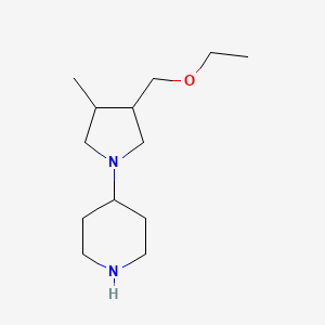 molecular formula C13H26N2O B1481326 4-(3-(Ethoxymethyl)-4-methylpyrrolidin-1-yl)piperidine CAS No. 2097999-66-9
