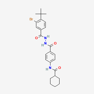 molecular formula C25H30BrN3O3 B14813380 N-[4-({2-[(3-bromo-4-tert-butylphenyl)carbonyl]hydrazinyl}carbonyl)phenyl]cyclohexanecarboxamide 