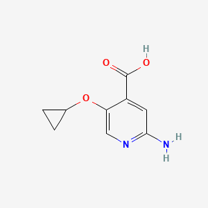 molecular formula C9H10N2O3 B14816763 2-Amino-5-cyclopropoxyisonicotinic acid 