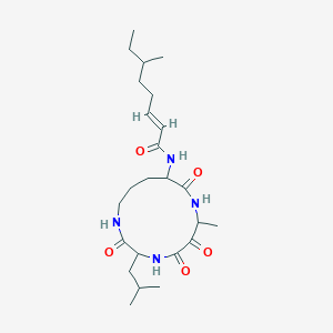 molecular formula C24H40N4O5 B148205 Eurystatin B CAS No. 137563-64-5