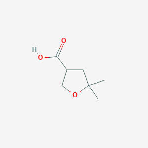 molecular formula C7H12O3 B1482142 5,5-Dimethyltetrahydrofuran-3-carboxylic acid CAS No. 2513-02-2