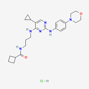 B1482210 N-[3-[[5-Cyclopropyl-2-[[4-(4-morpholinyl)phenyl]amino]-4-pyrimidinyl]amino]propyl]cyclobutanecarboxamide hydrochloride CAS No. 1962928-25-1