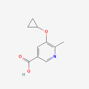 molecular formula C10H11NO3 B14825636 5-Cyclopropoxy-6-methylnicotinic acid 