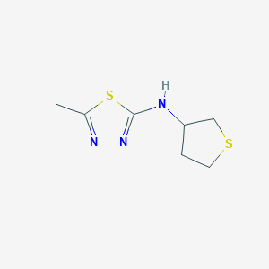 5-methyl-N-(thiolan-3-yl)-1,3,4-thiadiazol-2-amine