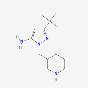 molecular formula C13H24N4 B1483825 3-(叔丁基)-1-(哌啶-3-基甲基)-1H-吡唑-5-胺 CAS No. 2098088-04-9