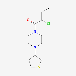 2-Chloro-1-[4-(thiolan-3-yl)piperazin-1-yl]butan-1-one