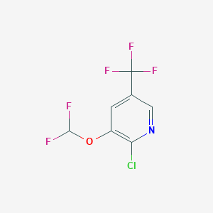 molecular formula C7H3ClF5NO B1484803 2-Chloro-3-(difluoromethoxy)-5-(trifluoromethyl)pyridine CAS No. 1807264-03-4
