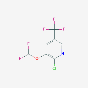 2-Chloro-3-(difluoromethoxy)-5-(trifluoromethyl)pyridine