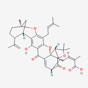 molecular formula C38H44O8 B14856496 Epigambogellic acid 