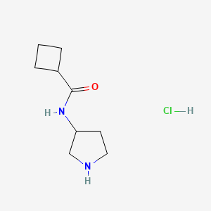 molecular formula C9H17ClN2O B1486101 N-(3-Pyrrolidinyl)cyclobutanecarboxamide hydrochloride CAS No. 2203716-54-3
