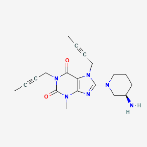 molecular formula C19H24N6O2 B14861189 F7Gwq29L8S CAS No. 2749409-37-6