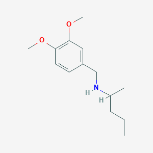 B1486443 [(3,4-Dimethoxyphenyl)methyl](pentan-2-yl)amine CAS No. 1019567-39-5