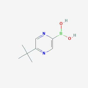 molecular formula C8H13BN2O2 B14864686 5-(tert-Butyl)pyrazine-2-boronic acid 