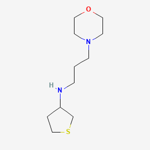 N-[3-(morpholin-4-yl)propyl]thiolan-3-amine