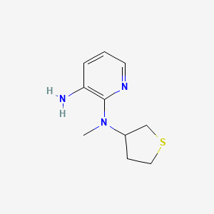 molecular formula C10H15N3S B1486502 N2-methyl-N2-(thiolan-3-yl)pyridine-2,3-diamine CAS No. 1095592-05-4