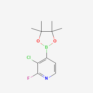 molecular formula C11H14BClFNO2 B1486529 3-Chloro-2-fluoropyridine-4-boronic acid pinacol ester CAS No. 1073353-71-5