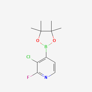 molecular formula C11H14BClFNO2 B1486529 3-Chloro-2-fluoro-4-(4,4,5,5-tetramethyl-1,3,2-dioxaborolan-2-yl)pyridine CAS No. 1073353-71-5
