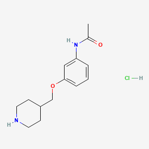 N-[3-(4-Piperidinylmethoxy)phenyl]acetamide hydrochloride