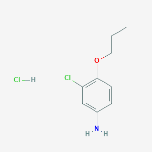 molecular formula C9H13Cl2NO B1486675 3-Chloro-4-propoxyaniline hydrochloride CAS No. 90415-74-0