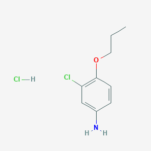 (3-Chloro-4-propoxyphenyl)amine hydrochloride
