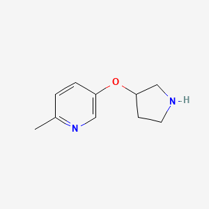 2-Methyl-5-(pyrrolidin-3-yloxy)pyridine