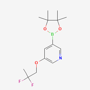 3-(2,2-Difluoropropoxy)-5-(4,4,5,5-tetramethyl-[1,3,2]dioxaborolan-2-yl)-pyridine