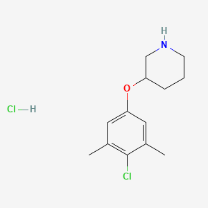 molecular formula C13H19Cl2NO B1487500 3-(4-Chloro-3,5-dimethylphenoxy)piperidine hydrochloride CAS No. 1185302-79-7