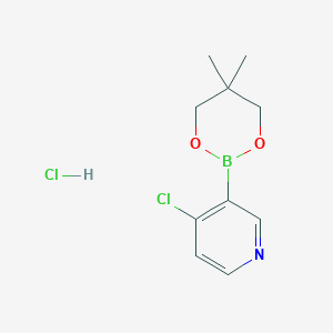 molecular formula C10H13BClNO2 B1487543 4-Chloro-3-(5,5-dimethyl-1,3,2-dioxaborinan-2-yl)pyridine hydrochloride CAS No. 1150271-27-4