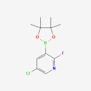 molecular formula C11H14BClFNO2 B1487578 5-氯-2-氟-3-(4,4,5,5-四甲基-1,3,2-二氧杂硼烷-2-基)吡啶 CAS No. 937595-72-7