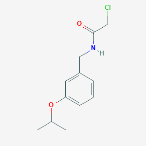 2-chloro-N-{[3-(propan-2-yloxy)phenyl]methyl}acetamide
