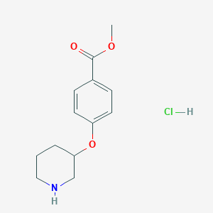 molecular formula C13H18ClNO3 B1487733 甲基 4-(3-哌啶氧基)苯甲酸盐酸盐 CAS No. 1220019-94-2