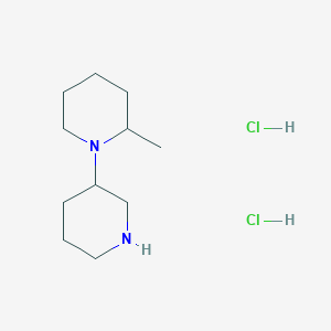 molecular formula C11H24Cl2N2 B1487782 3-(2-Methyl-1-piperidinyl)piperidine dihydrochloride CAS No. 1220030-30-7
