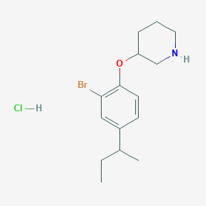 molecular formula C15H23BrClNO B1487820 3-[2-Bromo-4-(sec-butyl)phenoxy]piperidine hydrochloride CAS No. 1220032-73-4