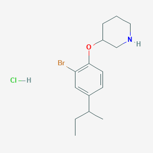 3-[2-Bromo-4-(sec-butyl)phenoxy]piperidine hydrochloride