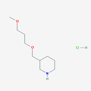 3-[(3-Methoxypropoxy)methyl]piperidine hydrochloride