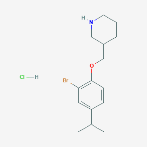 3-[(2-Bromo-4-isopropylphenoxy)methyl]piperidine hydrochloride