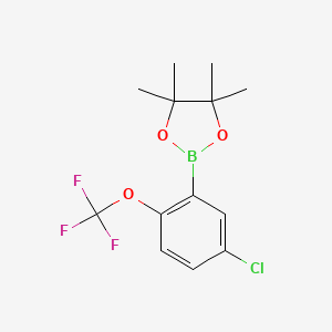 molecular formula C13H15BClF3O3 B1487844 5-Chloro-2-(trifluoromethoxy)phenylboronic acid, pinacol ester CAS No. 1643467-83-7
